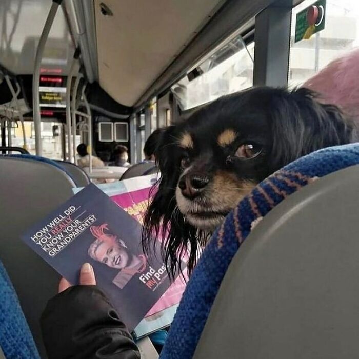 Funny-No-Context-Pics-Junkmanbaby