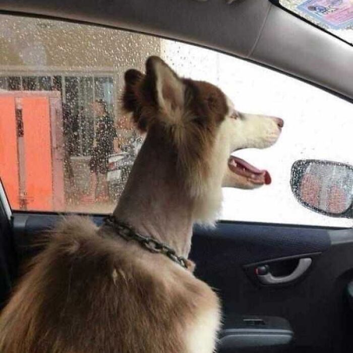 Funny-No-Context-Pics-Junkmanbaby