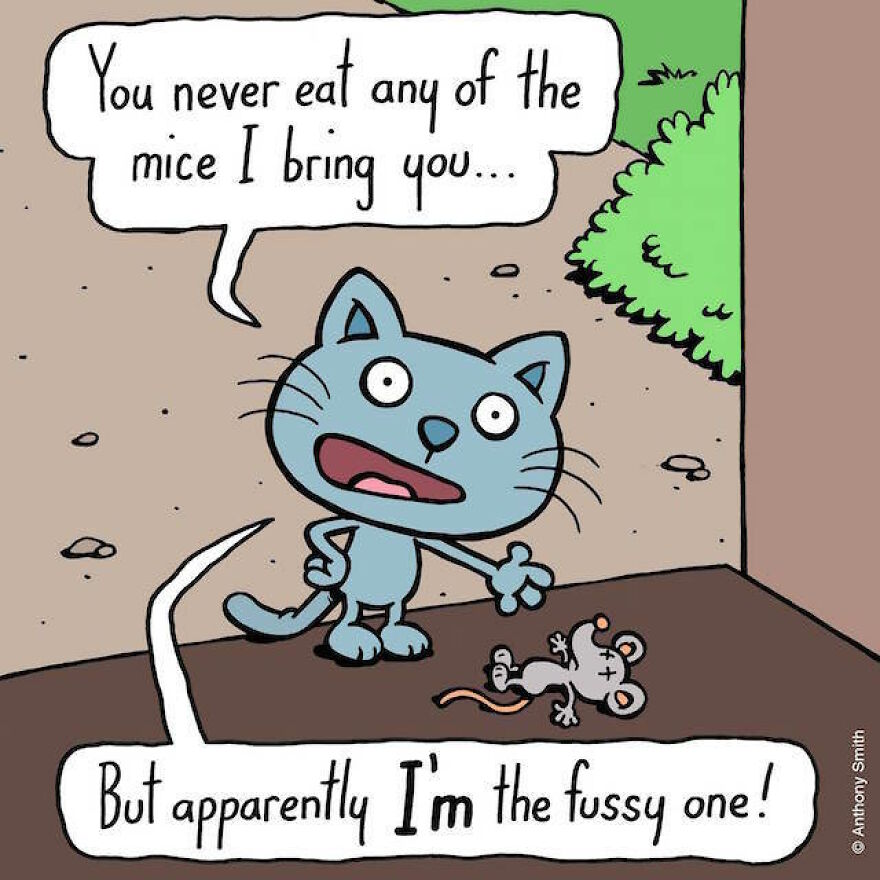 This Artist Perfectly Illustrates Your Cat's "Cattitude"-Interview With Artist