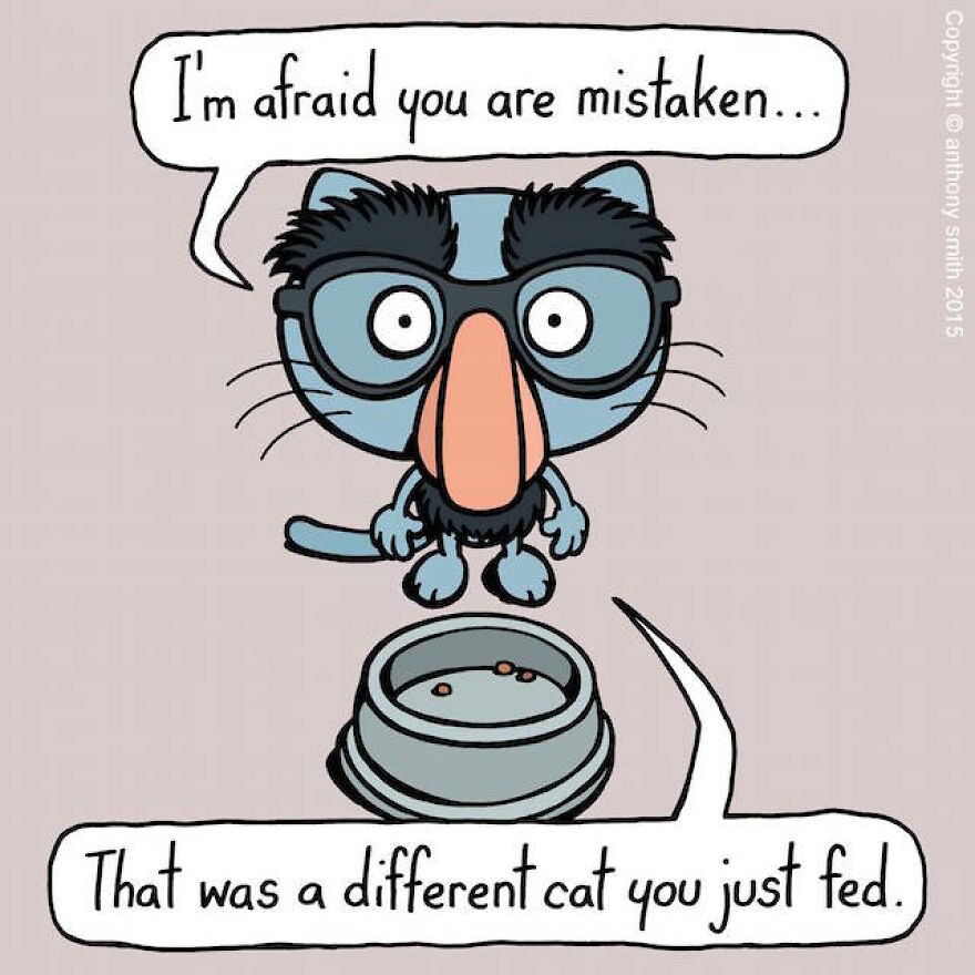 This Artist Perfectly Illustrates Your Cat's "Cattitude"-Interview With Artist