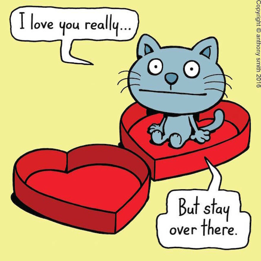 This Artist Perfectly Illustrates Your Cat's "Cattitude"-Interview With Artist