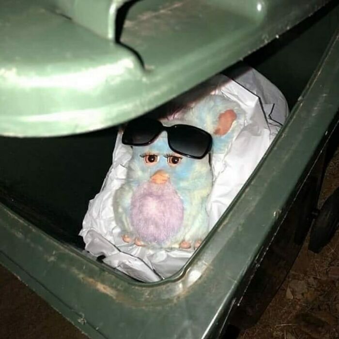 Funny-No-Context-Pics-Junkmanbaby