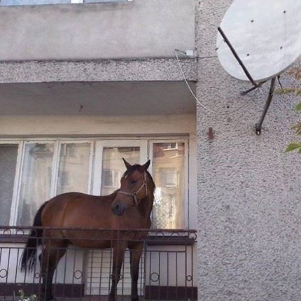 Funny-No-Context-Pics-Junkmanbaby