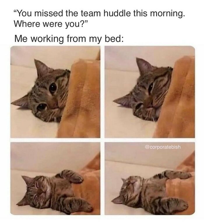 It’s A Dangerous Game
.
#corporatelife #corporatememes #bish #corporatebish #memesdaily #officememes #workmemes #worklife #memes #corporatemillennial #workjokes #officejokes #workhumor #workfromhomememes #workplacememes #corporatehumor #officelife #millennial #millennialmemes #millennials #workplacememes #wfh #workingfromhome #workingfromhomelife #workingfromhomeproblems #wfhmemes #wfhlife #morningmemes #morningmeeting #remotejobs