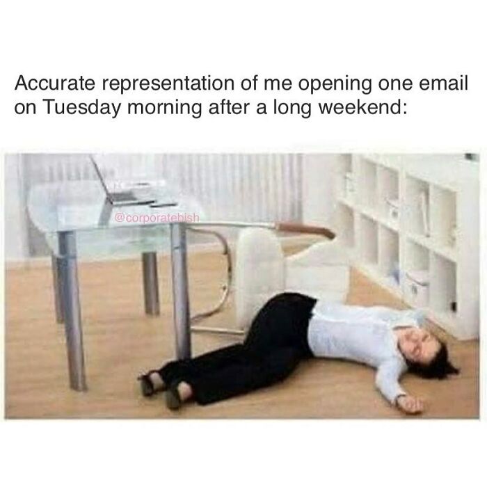 Me Tomorrow 🫠
.
#corporatelife #corporatememes #bish #corporatebish #memesdaily #officememes #workmemes #worklife #memes #corporatemillennial #workjokes #officejokes #workhumor #workfromhomememes #workplacememes #corporatehumor #officelife #millennial #millennialmemes #millennials #workplacememes #tuesday #morning #morningmemes #morningmeme #holidayweekend #memorialdayweekend #weekendmemes #email #threedayweekend #caniretireyet