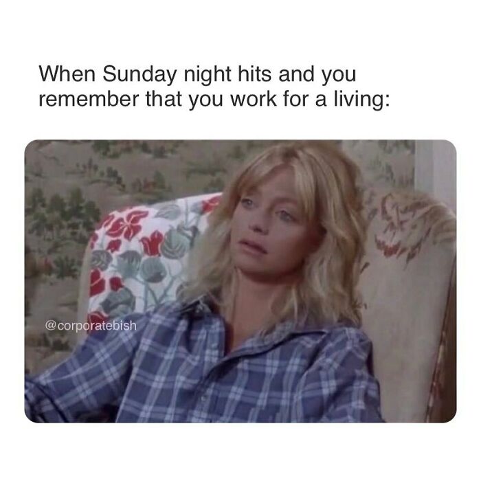 Sum Bull….
.
#corporatelife #corporatememes #bish #corporatebish #memesdaily #officememes #workmemes #worklife #memes #corporatemillennial #workjokes #officejokes #workhumor #workfromhomememes #workplacememes #corporatehumor #officelife #millennial #millennialmemes #millennials #workplacememes #sundaymemes #weekendvibes #sunday #sundayscaries #worksucks #caniretireyet #sundayvibes
