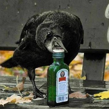 Funny-No-Context-Pics-Junkmanbaby