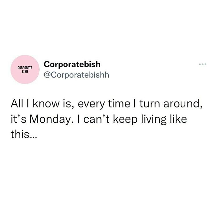 It’s A Scam
.
#corporatelife #corporatememes #bish #corporatebish #memesdaily #officememes #workmemes #worklife #memes #corporatemillennial #workjokes #officejokes #workhumor #workfromhomememes #workplacememes #corporatehumor #officelife #millennial #millennialmemes #millennials #workplacememes #morning #weekendvibes #monday #morningmemes #mondaymorning #worksucks