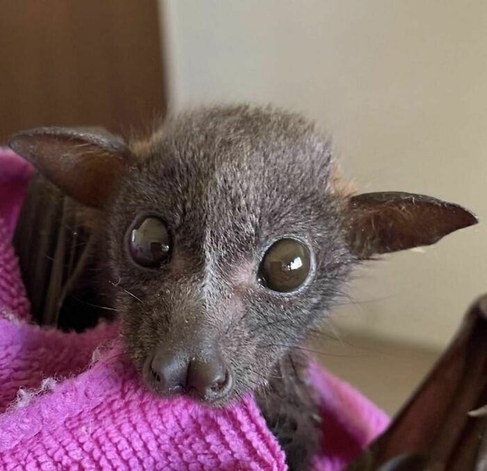 Say Hello To Jenkins