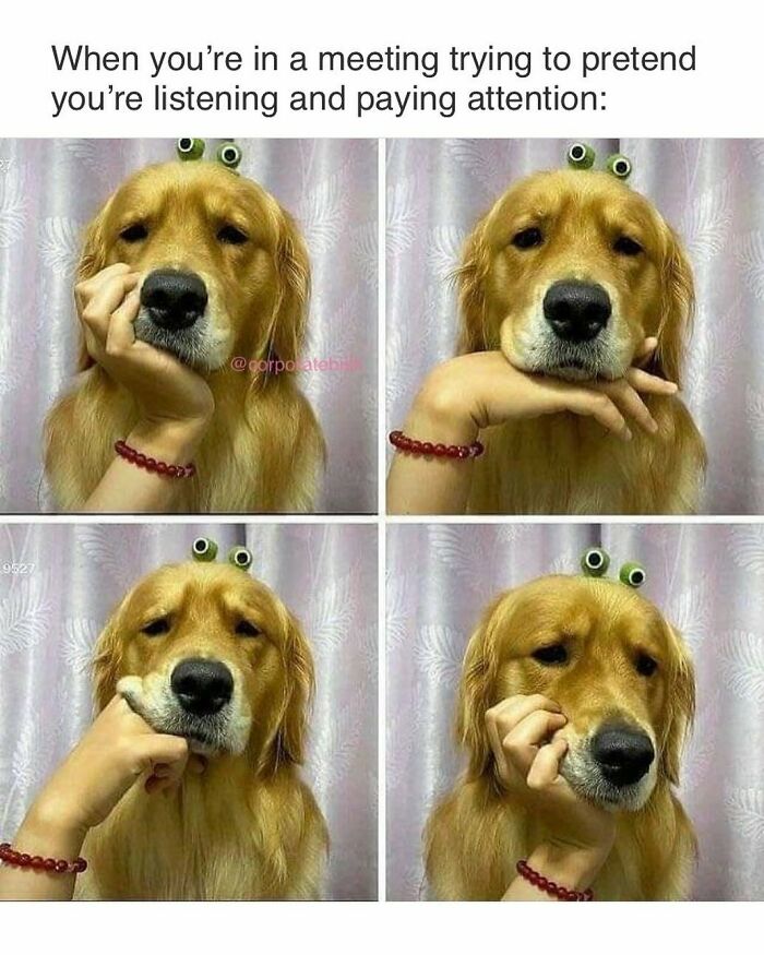 Camera On Meetings Are The Worst
.
#corporatelife #corporatememes #bish #corporatebish #memesdaily #officememes #workmemes #worklife #memes #corporatemillennial #workjokes #officejokes #workhumor #workfromhomememes #workplacememes #corporatehumor #officelife #millennial #millennialmemes #millennials #workplacememes #zoom #zoommeeting #zoommeetings #zoommemes #meetings #meeting