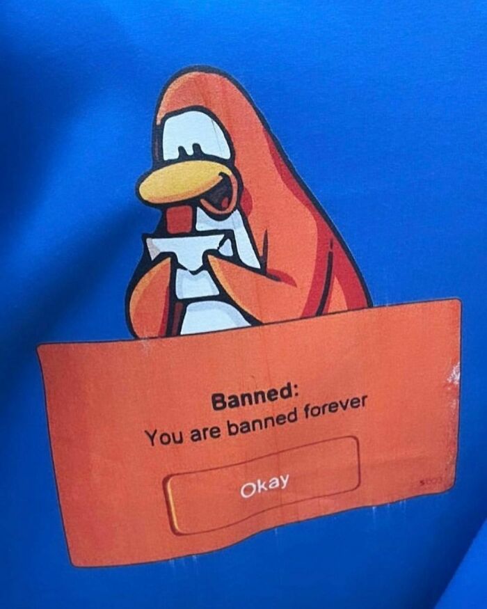 Funny-Shirts-Thegoodshirts