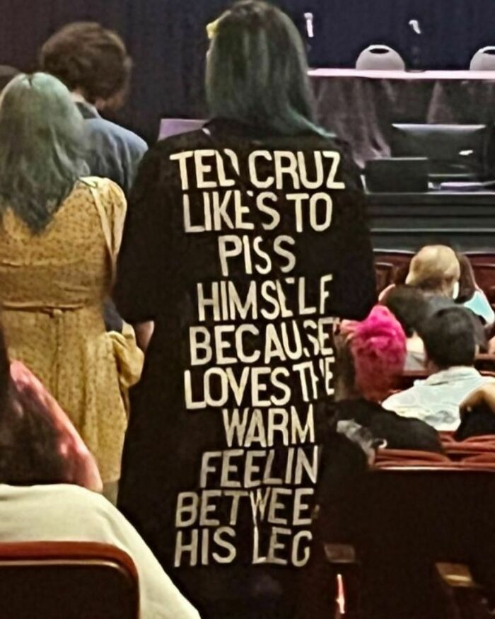 Funny-Shirts-Thegoodshirts