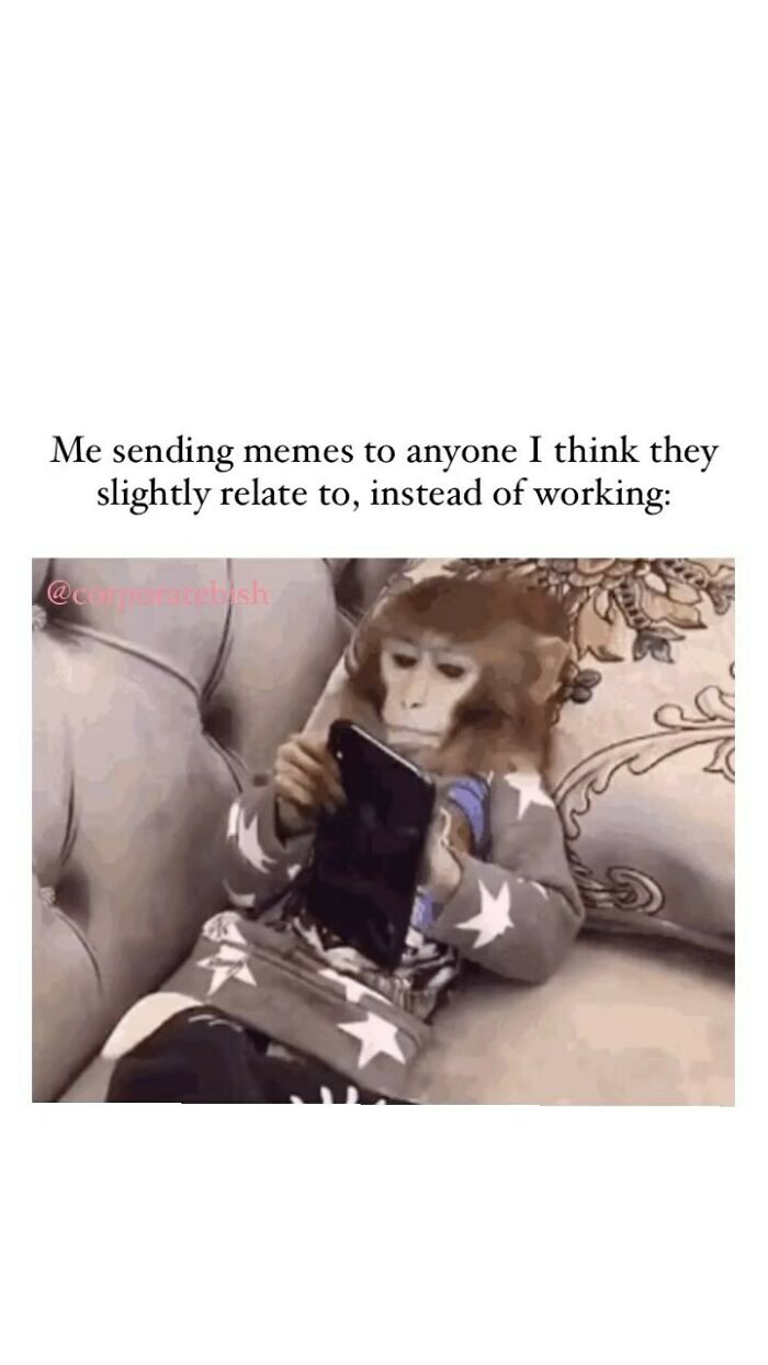 Priorities….
.
#corporatelife #corporatememes #bish #corporatebish #memesdaily #officememes #workmemes #worklife #memes #corporatemillennial #workjokes #officejokes #workhumor #workfromhomememes #workplacememes #corporatehumor #officelife #millennial #millennialmemes #millennials #workplacememes #morning #weekendvibes #monday #morningmemes #mondaymorning #worksucks