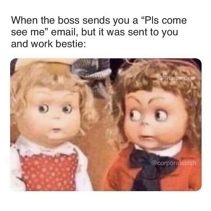 “We’re In Trouble…”
.
#corporatelife #corporatememes #bish #corporatebish #memesdaily #officememes #workmemes #worklife #memes #corporatemillennial #workjokes #officejokes #workhumor #workfromhomememes #workplacememes #corporatehumor #officelife #millennial #millennialmemes #millennials #workplacememes #workbffs #workbff #workbesties #workbestie #coworkers #bestie #bestiememes