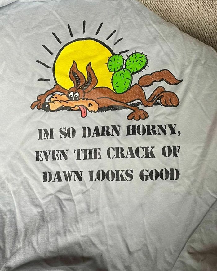 Funny-Shirts-Thegoodshirts