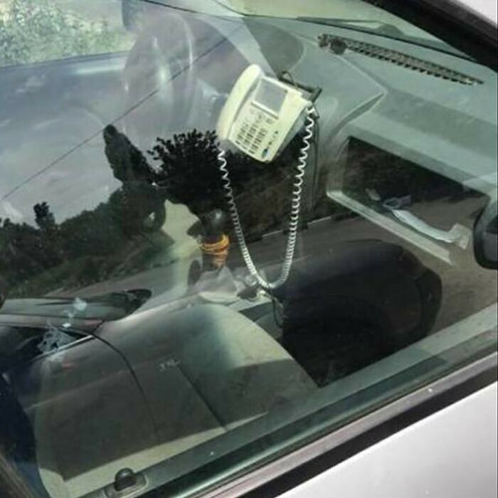 Funny-No-Context-Pics-Junkmanbaby