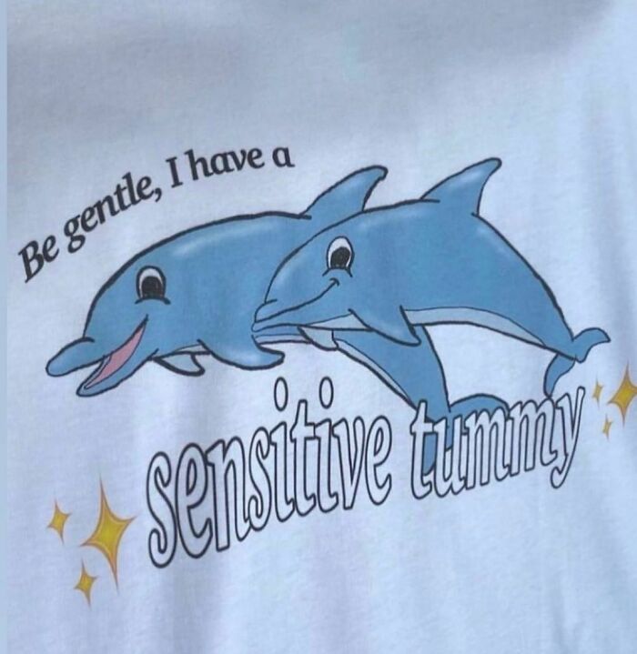 Funny-Shirts-Thegoodshirts