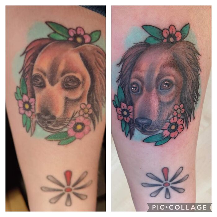 Dog tattoo with colorful flowers on an arm, showcasing recent ink.