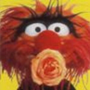 jenny_pugh_14 avatar