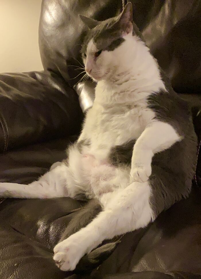 Junior In His Usual Sitting Position