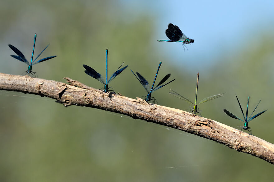 All Seats Occupied, Sorry