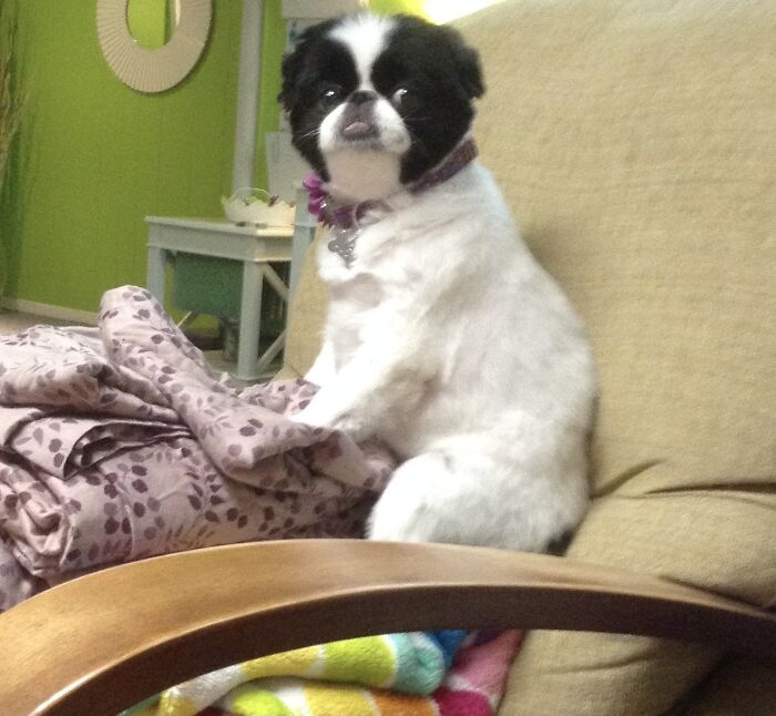 I Have No Idea Why She Is Sitting Like This. ❤️lucy❤️