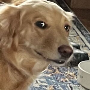 kimberlybertram6 avatar