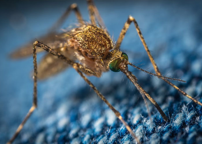 25 Divertidos nombres alternativos pero acertados que los niños dan a las cosas