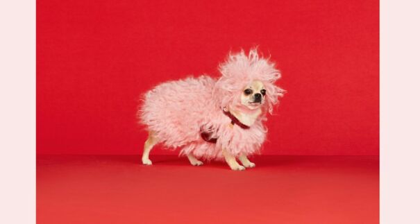 Gucci Released A Fancy Clothing And Accessories Line, And It's Lavish Gucci Released A Fancy Clothing And Accessories Line, And It's Lavish