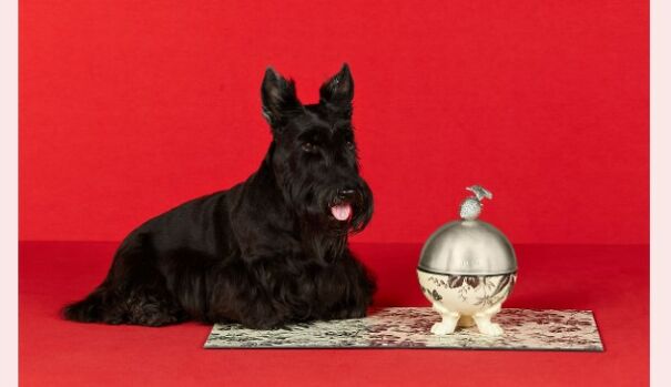 Gucci Released A Fancy Clothing And Accessories Line, And It's Lavish Gucci Released A Fancy Clothing And Accessories Line, And It's Lavish