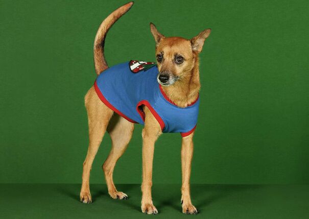 Gucci Released A Fancy Clothing And Accessories Line, And It's Lavish Gucci Released A Fancy Clothing And Accessories Line, And It's Lavish