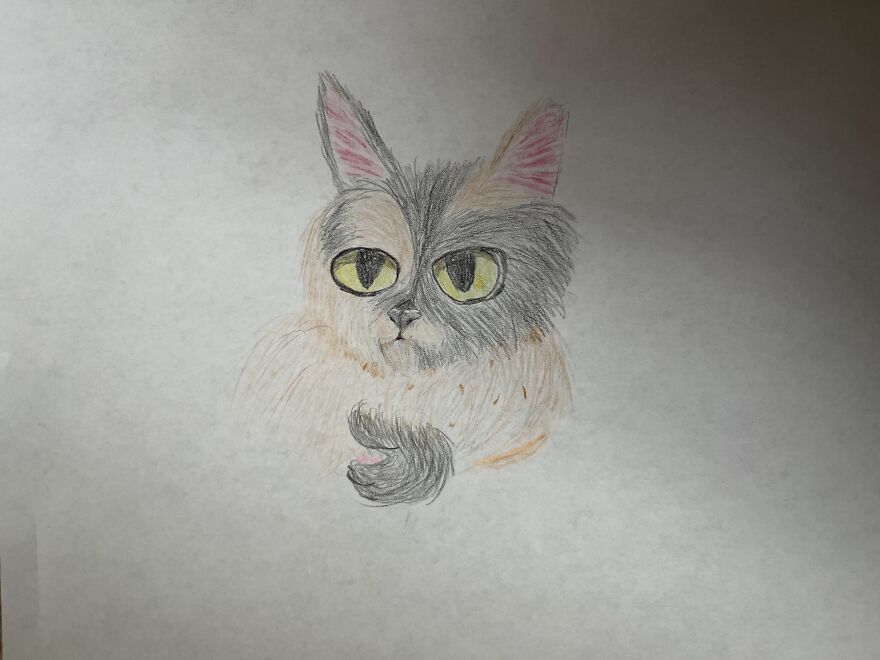 Here Are Some Of My Realistic Drawings!