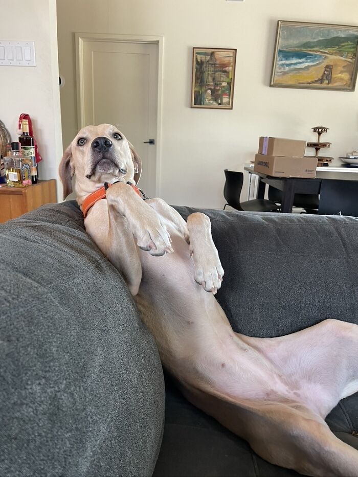 Taffy, Looking Cute As Ever