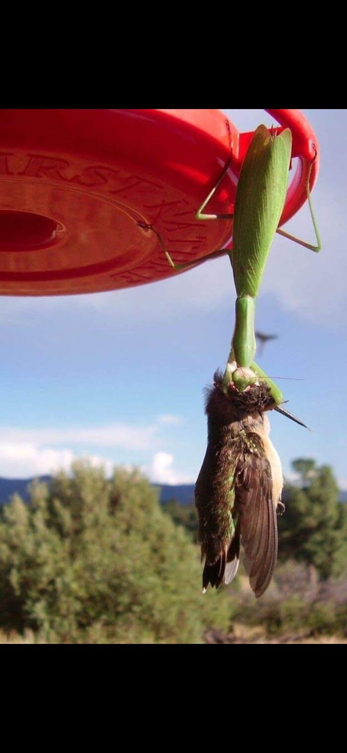 How Do You Feel About Just Existing In This World