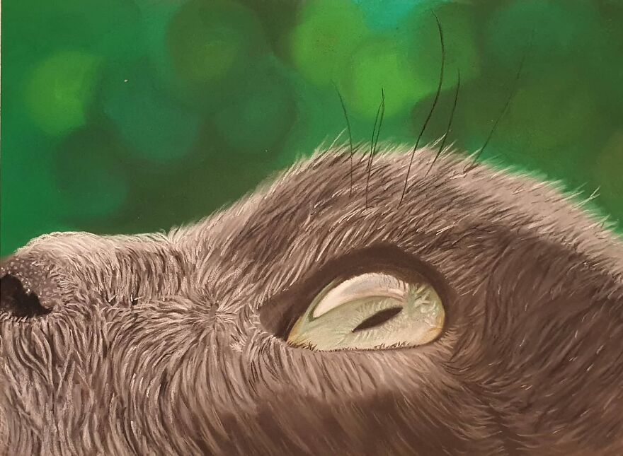 I Always Thought I Had Missed Out On The Artistic Dna That Runs In The Family