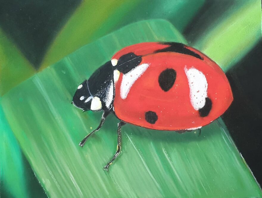 I Always Thought I Had Missed Out On The Artistic Dna That Runs In The Family