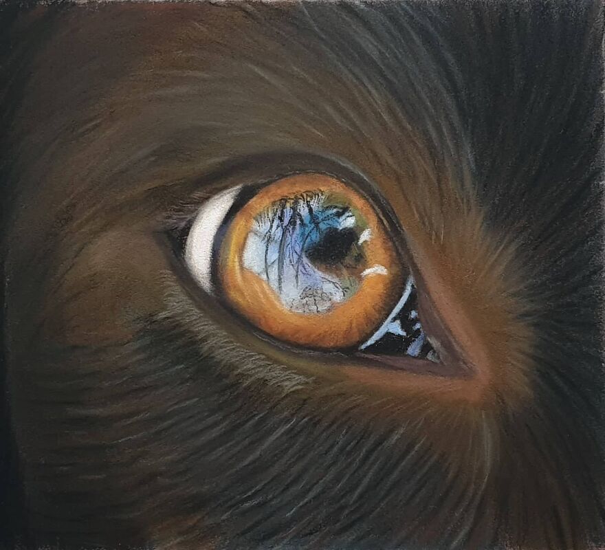 I Always Thought I Had Missed Out On The Artistic Dna That Runs In The Family