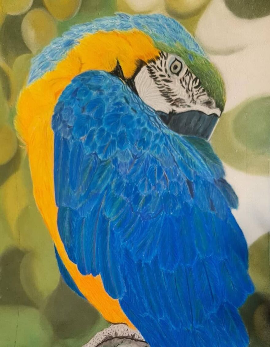 I Always Thought I Had Missed Out On The Artistic Dna That Runs In The Family