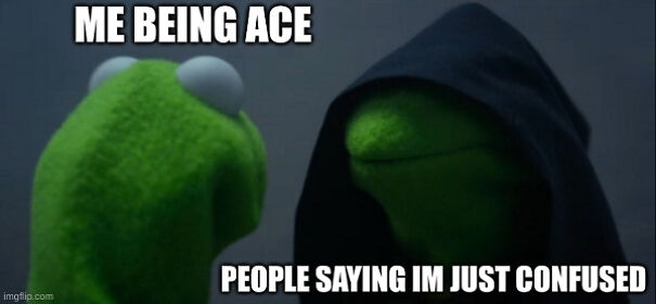 I Made Memes About What A Struggle It Is To Be Asexual In Today's Society