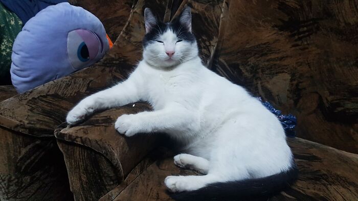 He's Really Enjoying Himself