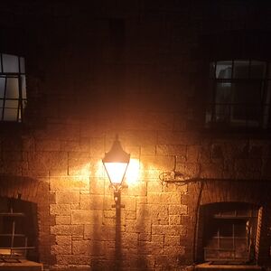 jacintafinn_1 avatar