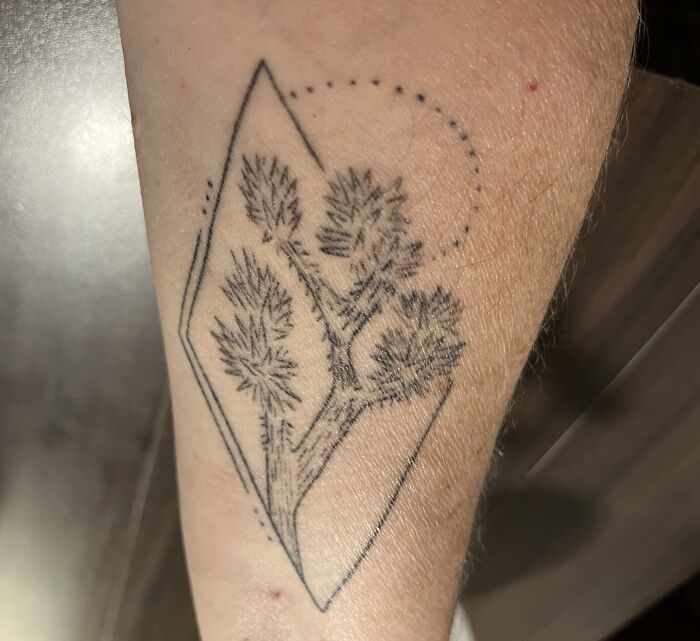 Line art tattoo of a tree inside a diamond shape with dotted accents on forearm.
