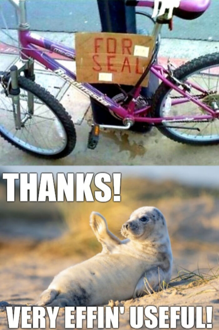 One Of My Top 3 Favorite Memes!