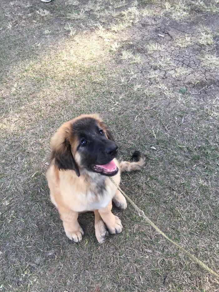 This Is The Fabulous Ms R....such A Happy, Funny And Naughty Kid