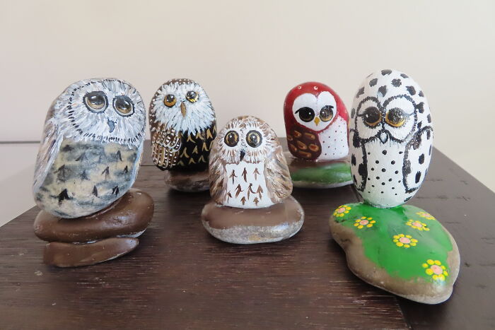 Love Painting Owls On Rocks