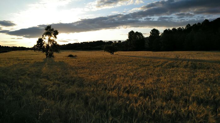Sunrise In "El Romero," Murcia, Southern Spain
