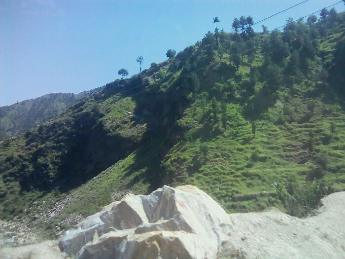 My Nature Photographs (5 Pics)