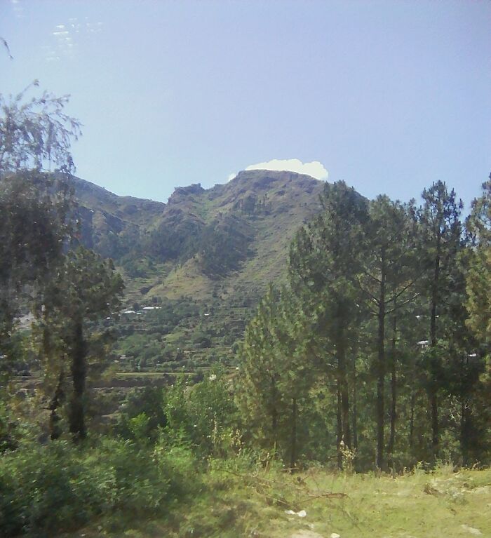 My Nature Photographs (5 Pics)