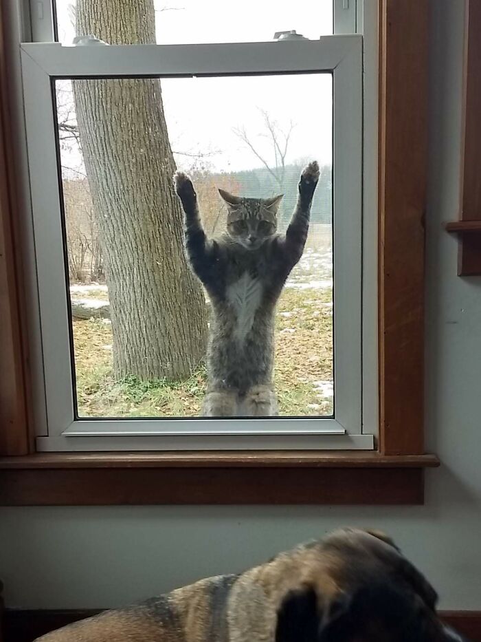 I Can See You Guys In There!