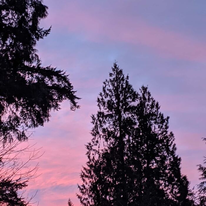 Sky In Washington, Photos By Me :)